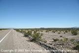 Amboy Crater